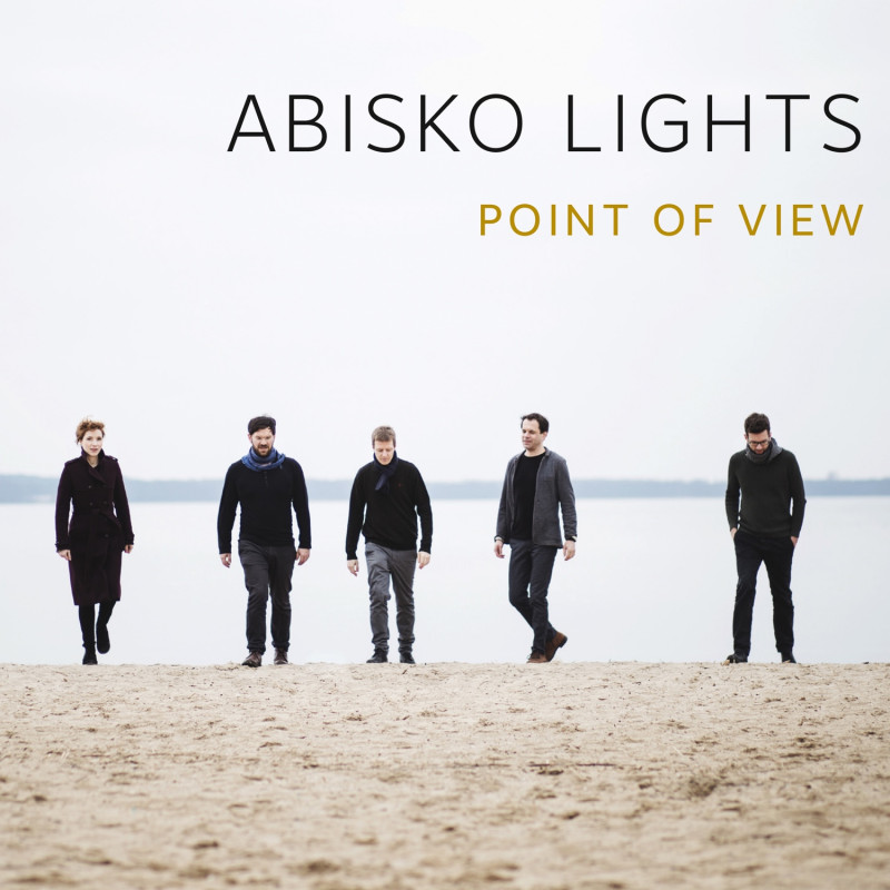 Abisko Lights - Point Of View