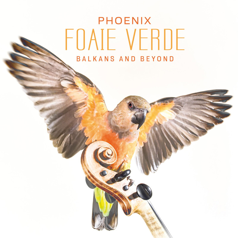 Foaie Verde - Phoenix